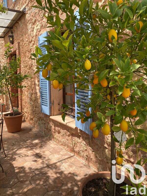 Photo 5 - Maison à LE CANNET-DES-MAURES