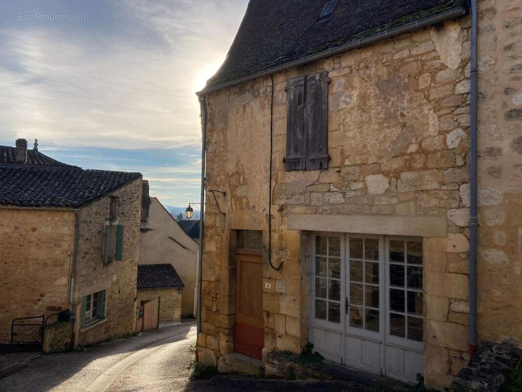 IMG_9954.jpeg - Maison à SAINT-CYPRIEN