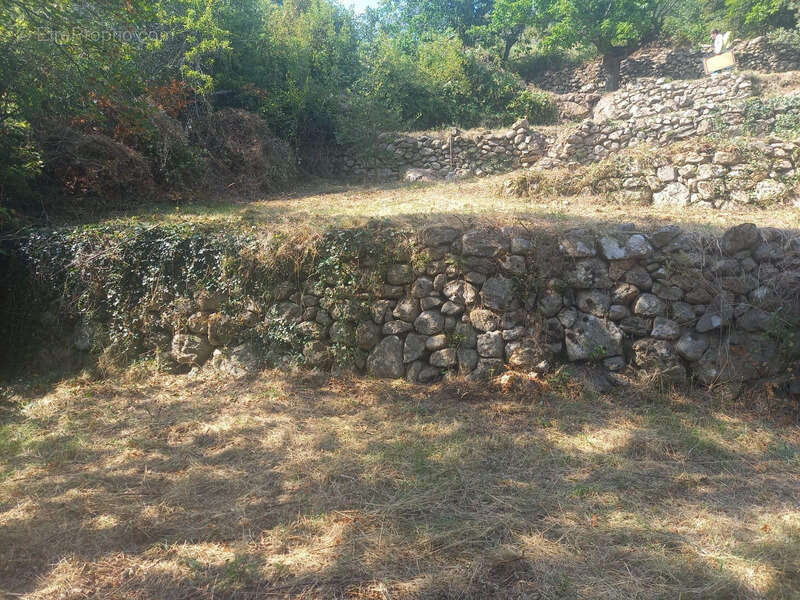 Maison à SAINT-MAURICE-EN-CHALENCON