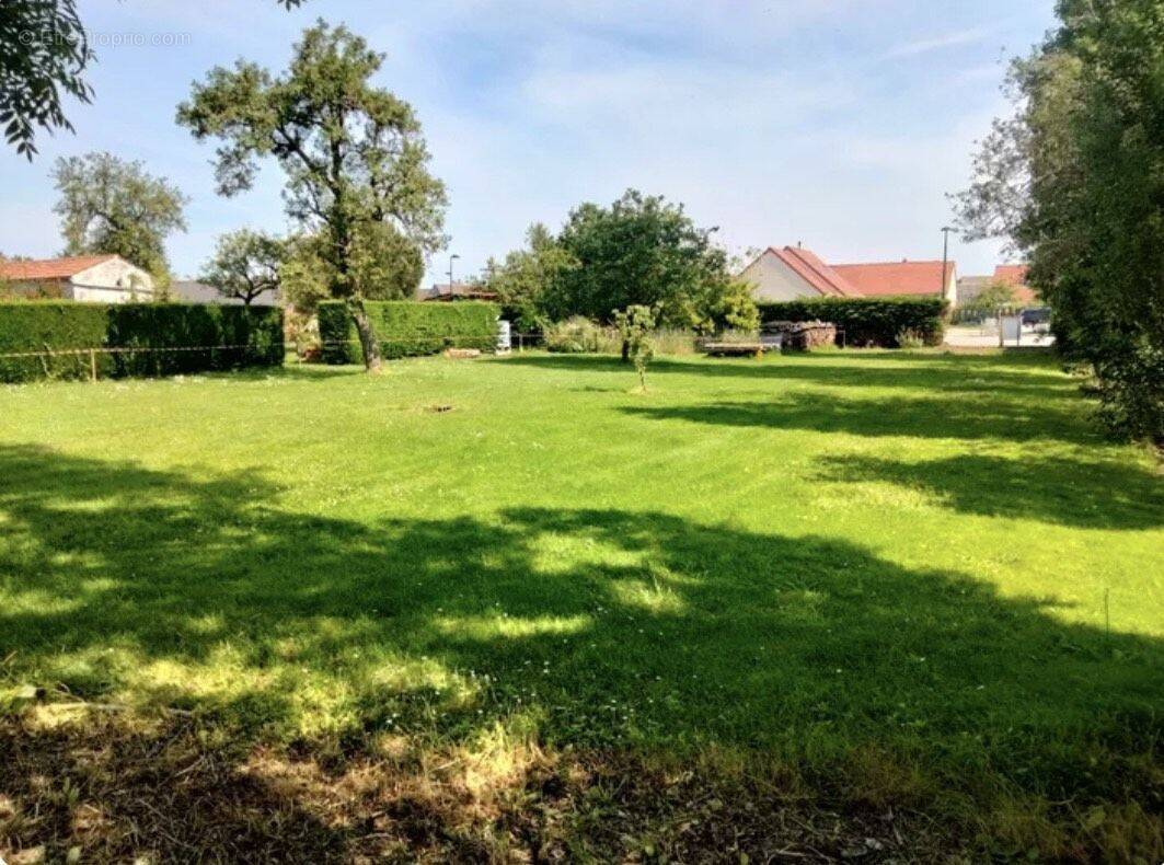 Terrain à SAINT-AUBIN-DES-BOIS