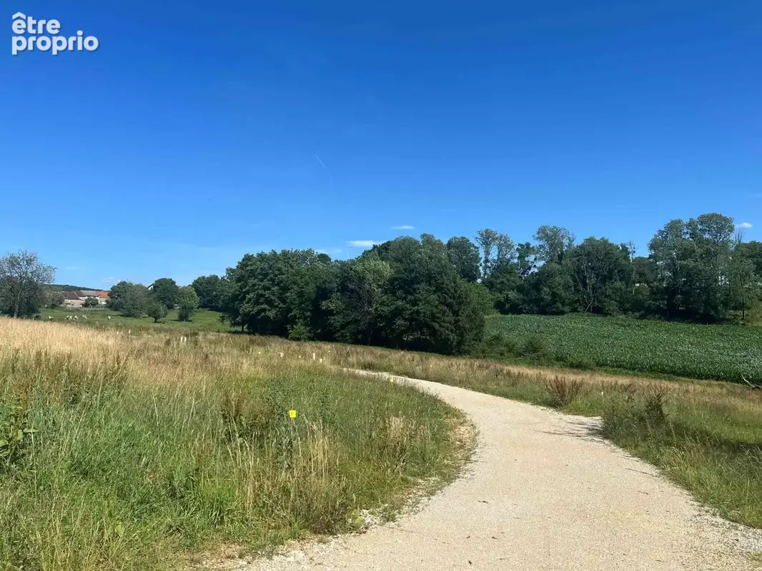 Terrain 1 955 m² à vendre à Fleurey-Les-Faverney (70160) - photo 2