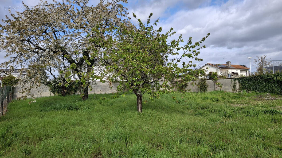 Terrain à AMBARES-ET-LAGRAVE