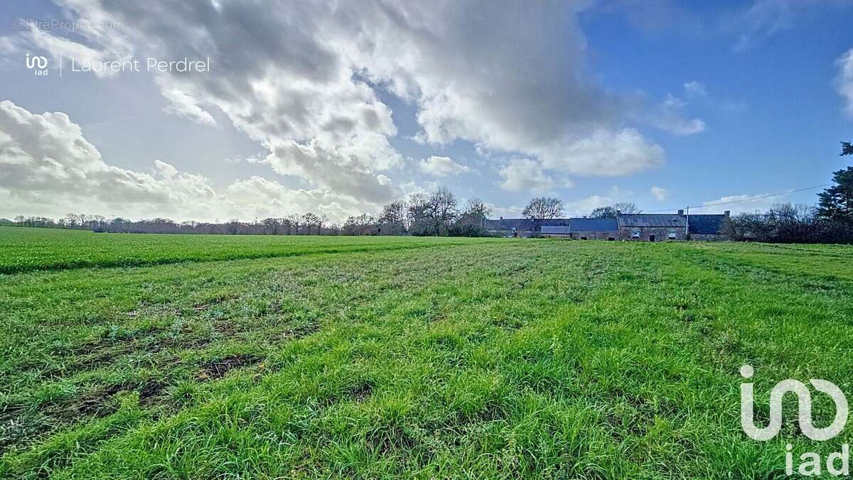 Photo 2 - Terrain à ALLAIRE