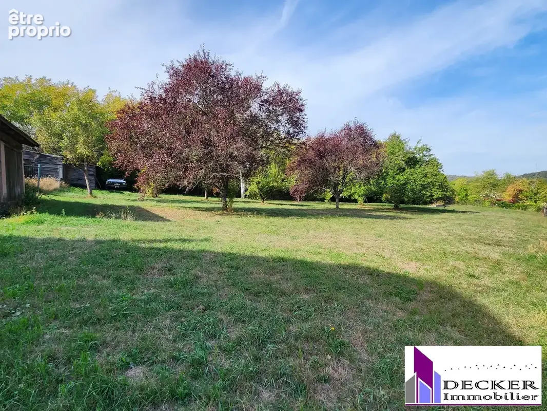 Maison 6 pièces 144 m² à vendre à Ingwiller (67340) - photo 2