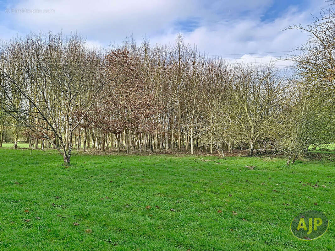Maison à LE TREMBLAY