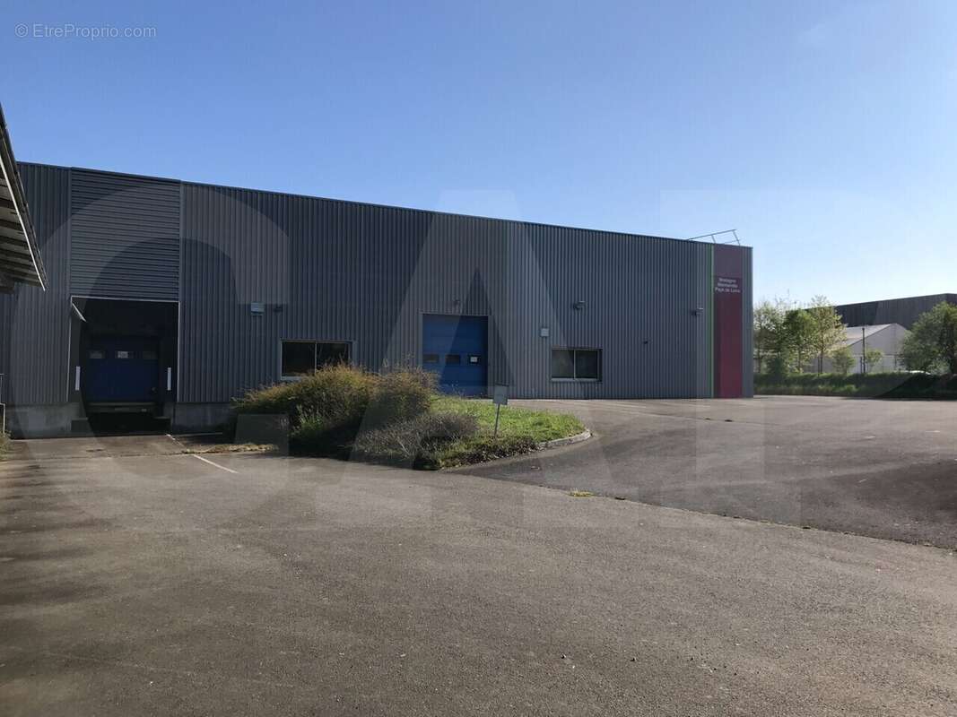 Autre à SAINT-ETIENNE-EN-COGLES