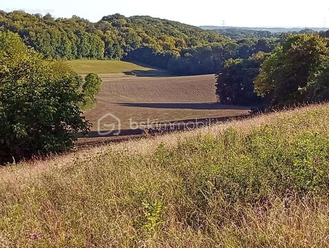 Terrain à SAINTE-GENEVIEVE