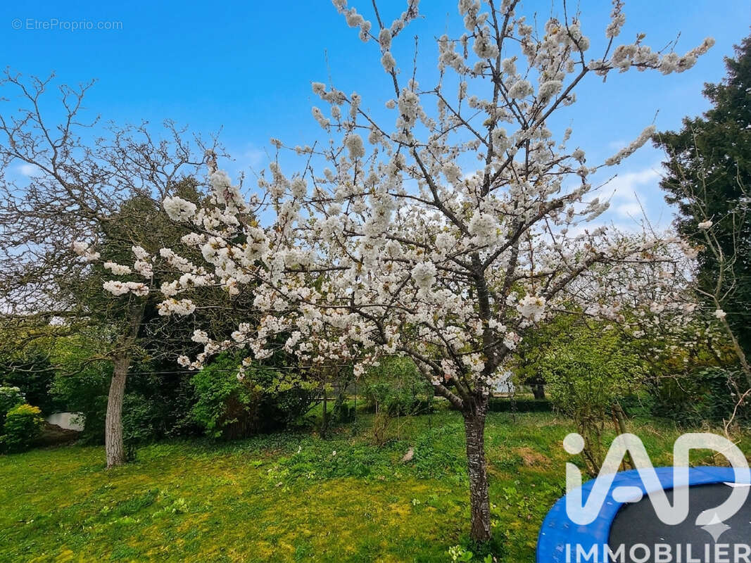 Photo 2 - Maison à SUCY-EN-BRIE