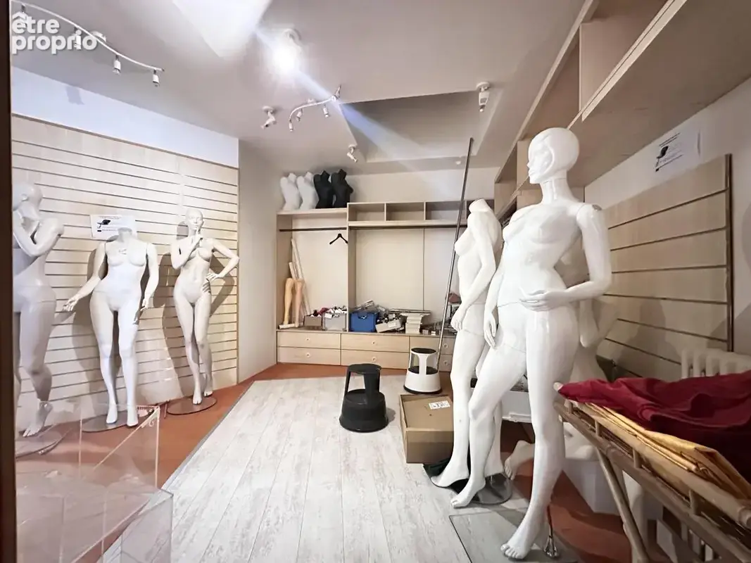 Commerce 180 m² à vendre à Sainte-Maure-De-Touraine (37800) - photo 5