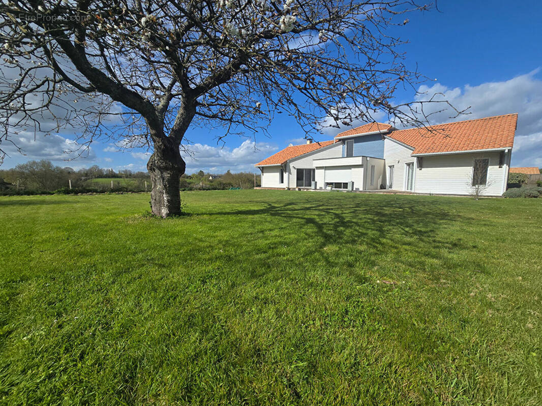 Maison à CHEMILLE