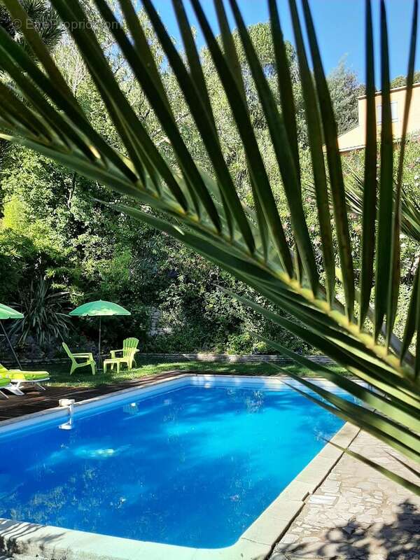 Maison 232 m²Lamalou-les-Bains Hérault France Piscine 232sqm 10x5pool 5 bedrooms summer kitchen - Maison à LAMALOU-LES-BAINS