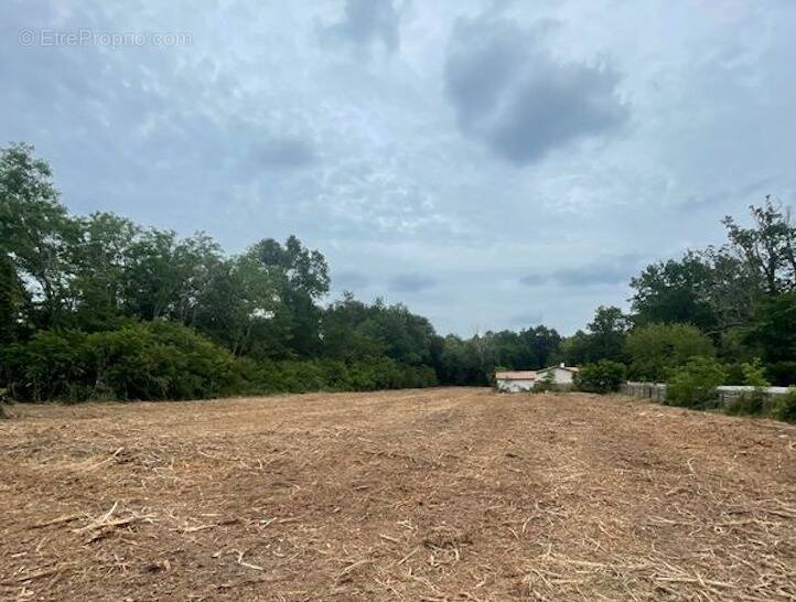 Terrain à SAINT-SELVE