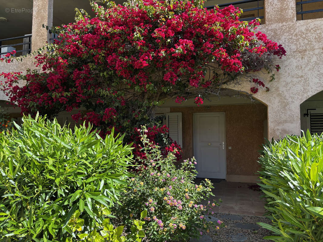 Appartement à SARI-SOLENZARA