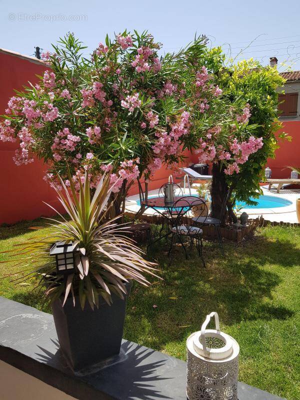 Maison à CARCASSONNE