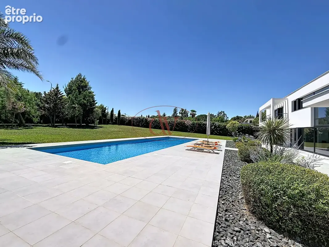Mas llaro - exclusivite - photo 17