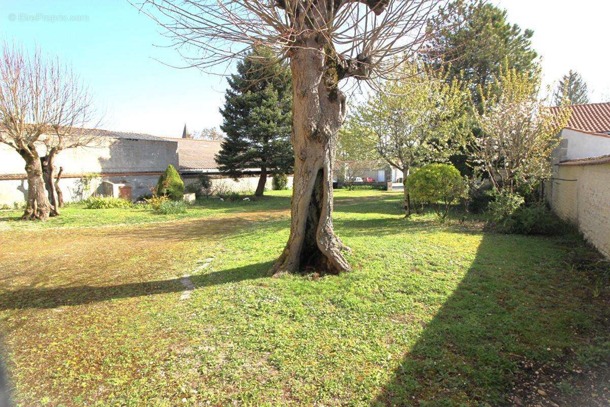 Maison à JARNAC-CHAMPAGNE