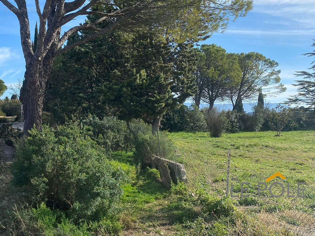 Terrain à SAINTE-CECILE-LES-VIGNES