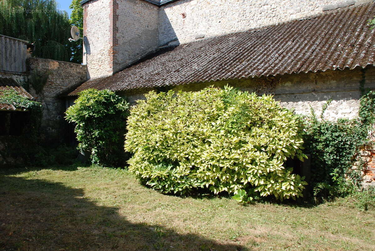 Photo 6