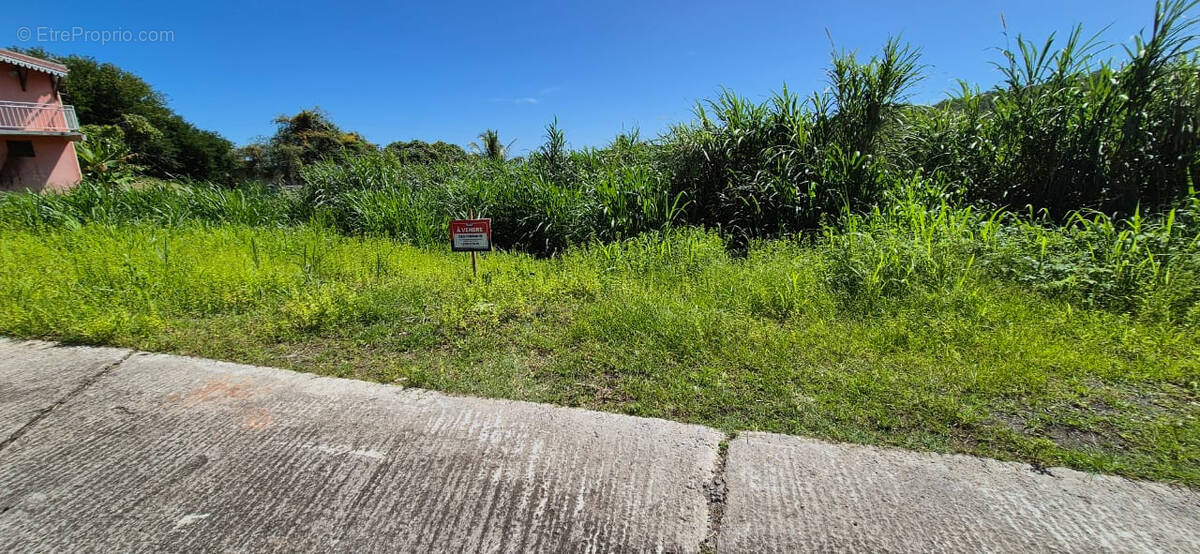 Terrain à LE VAUCLIN