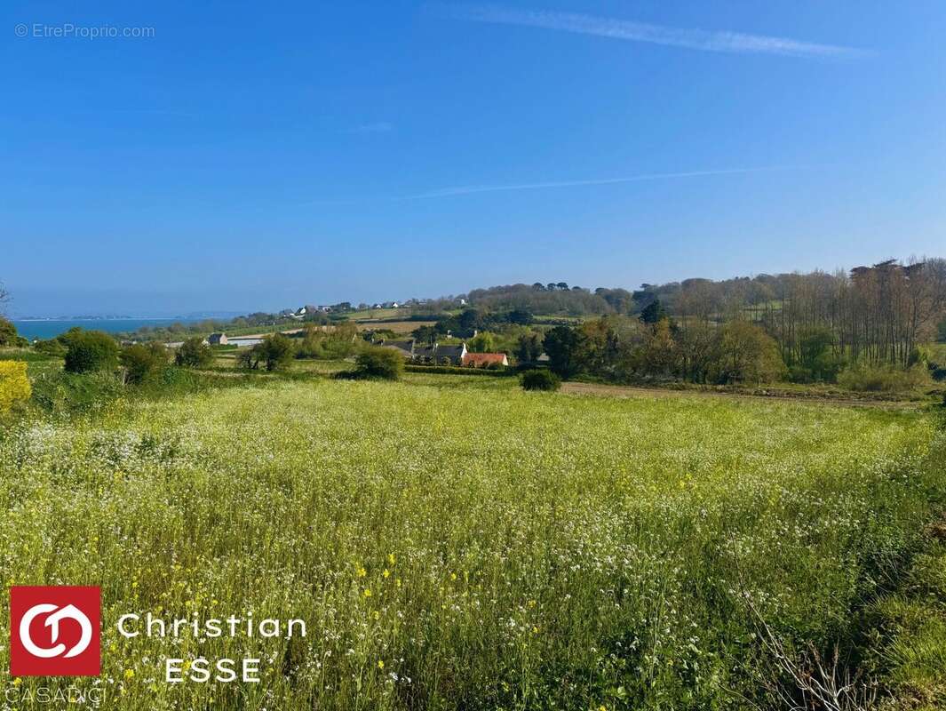 Terrain à SAINT-POL-DE-LEON