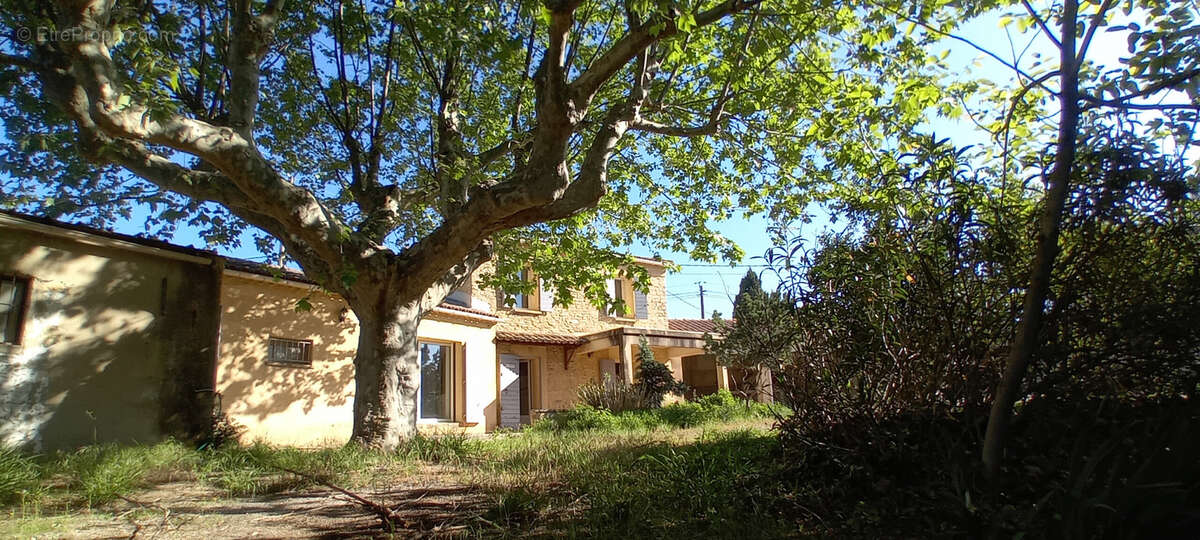 Maison à L'ISLE-SUR-LA-SORGUE