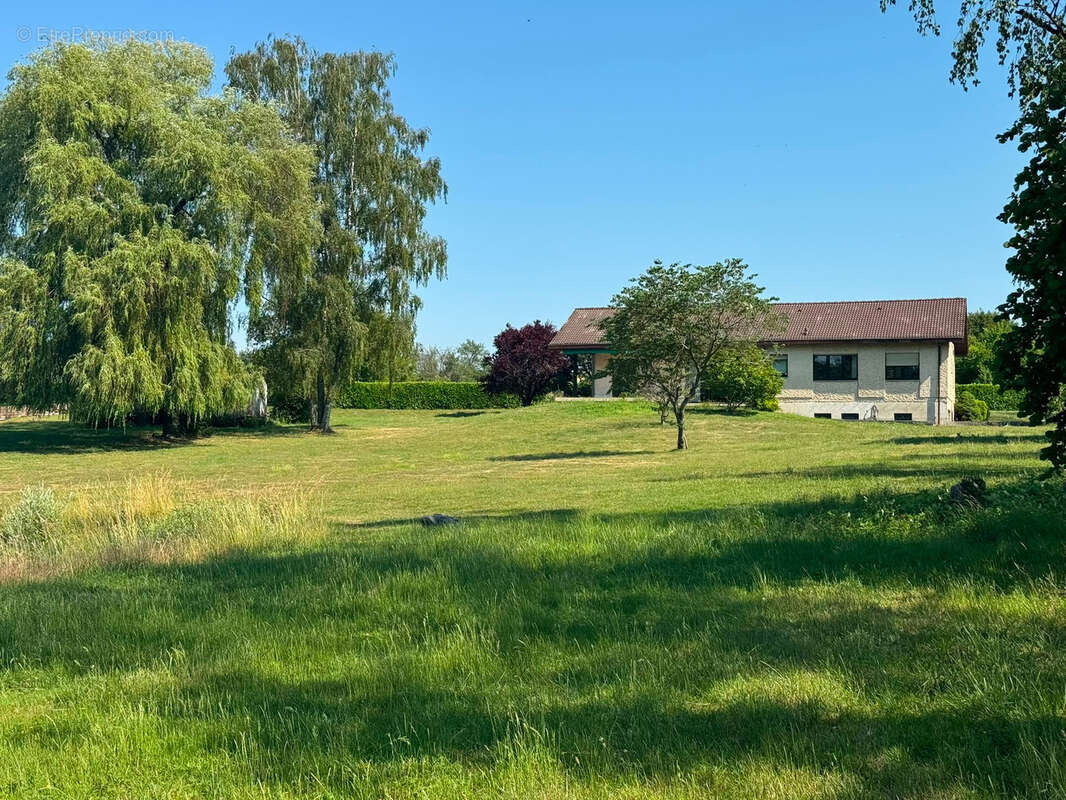 Propriété avec étangs, maison de plain pied au cœur de 3 hectares - photo 10