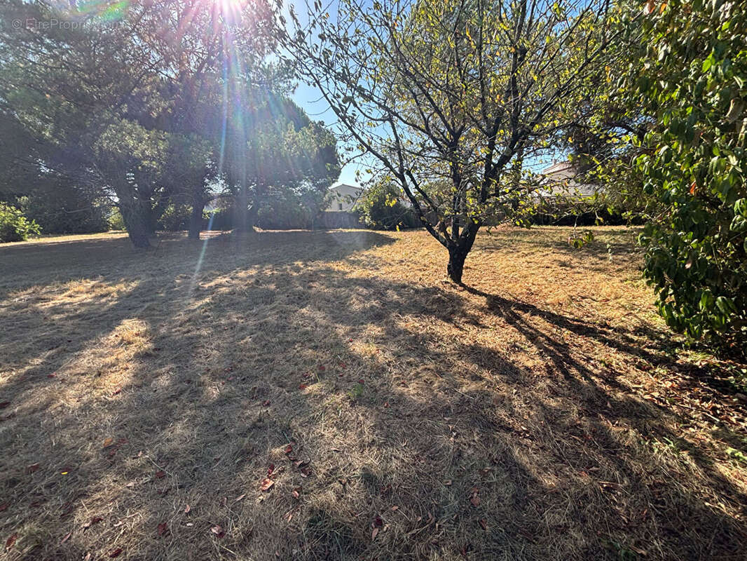 Terrain à bâtir avec permis purgé - Un projet prêt à démarrer ! - photo 2