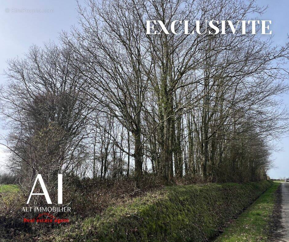 Terrain à LA LANDE-DE-LOUGE