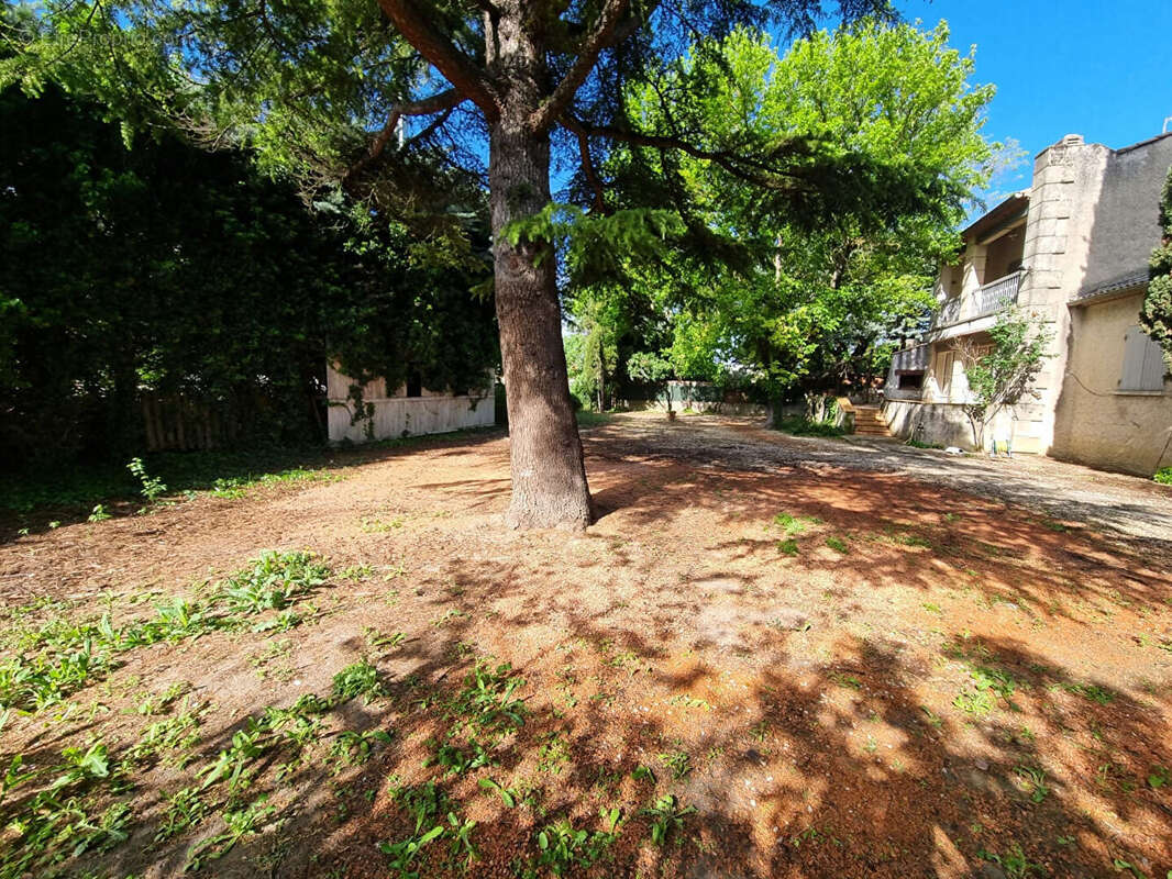 Maison à L'ISLE-SUR-LA-SORGUE