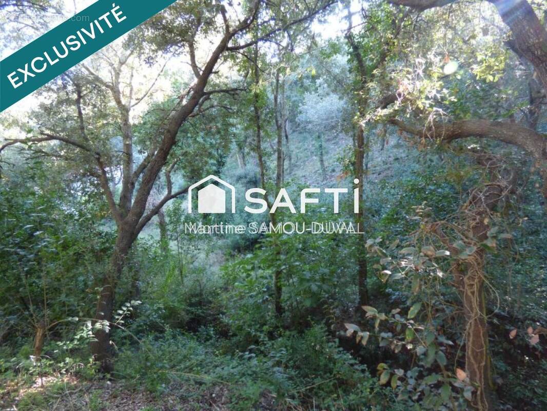 Photo 1 - Terrain à LA SEYNE-SUR-MER