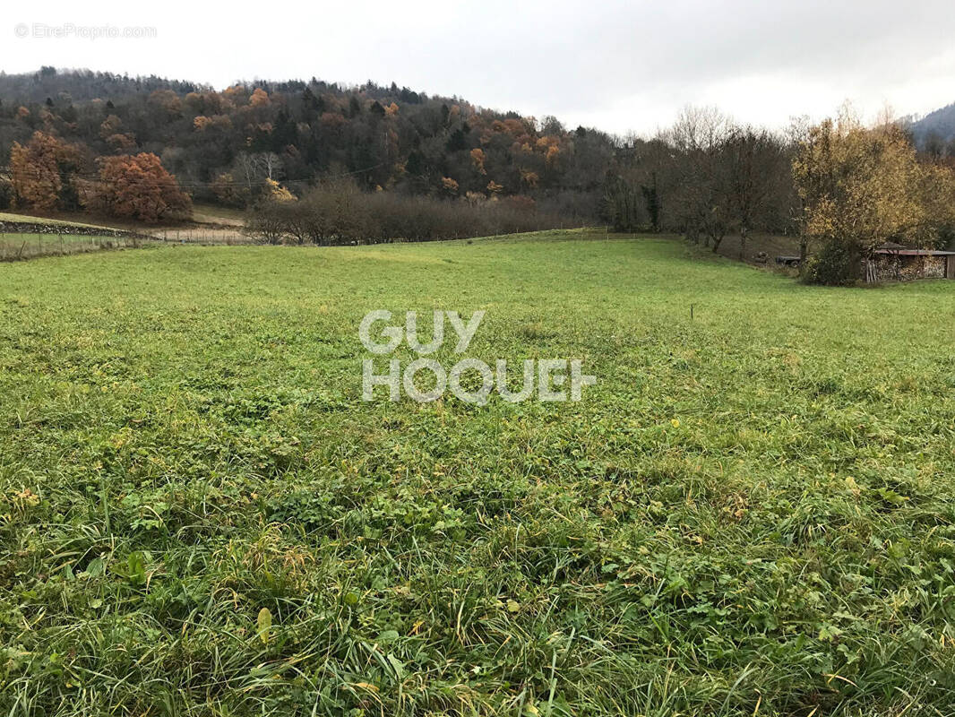 Terrain à LA CHAPELLE-BLANCHE