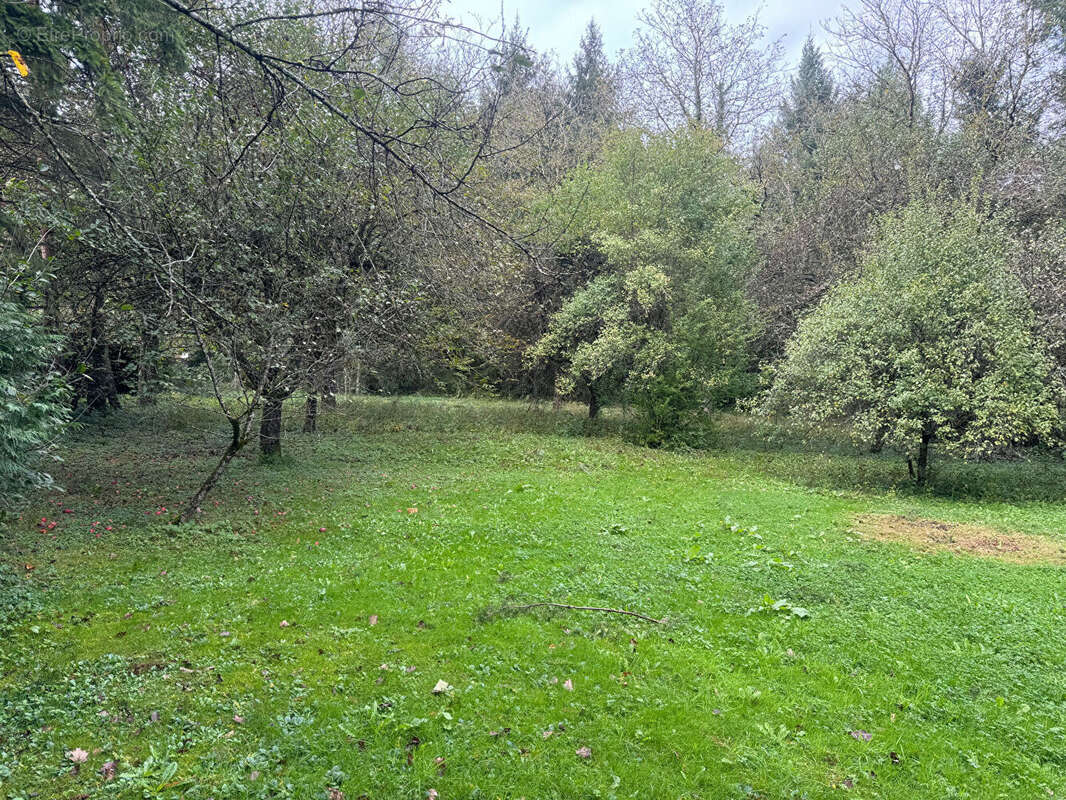 Terrain à NOVILLARS