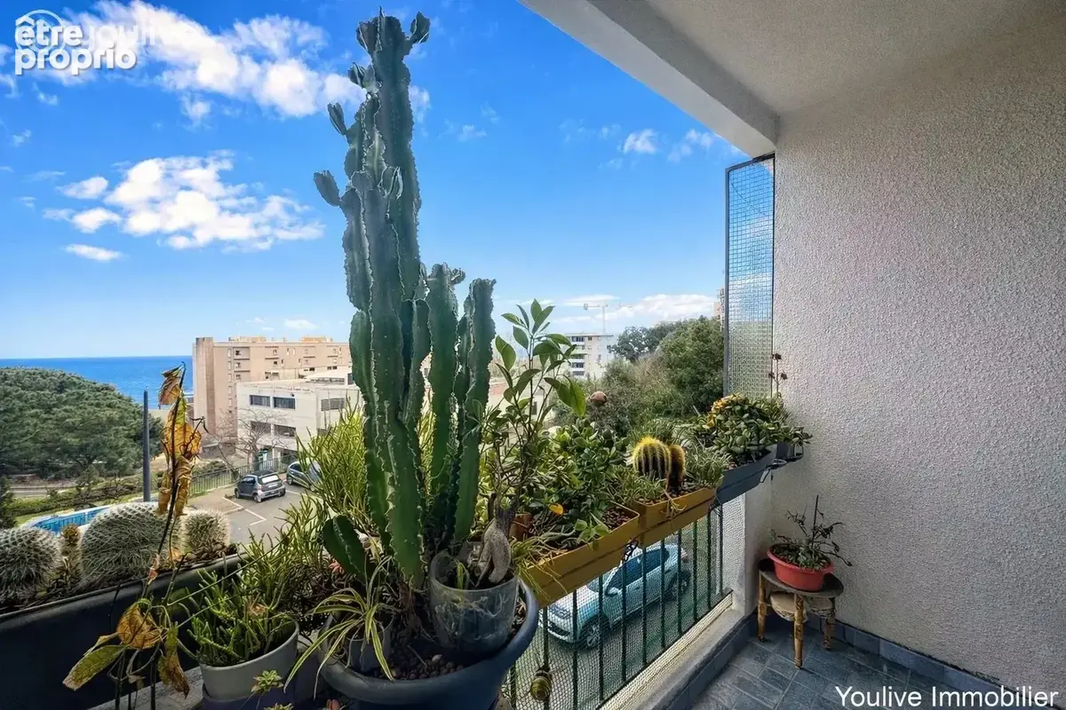 Appartement T3 entièrement rénové – Quartier Sud de Bastia - photo 5