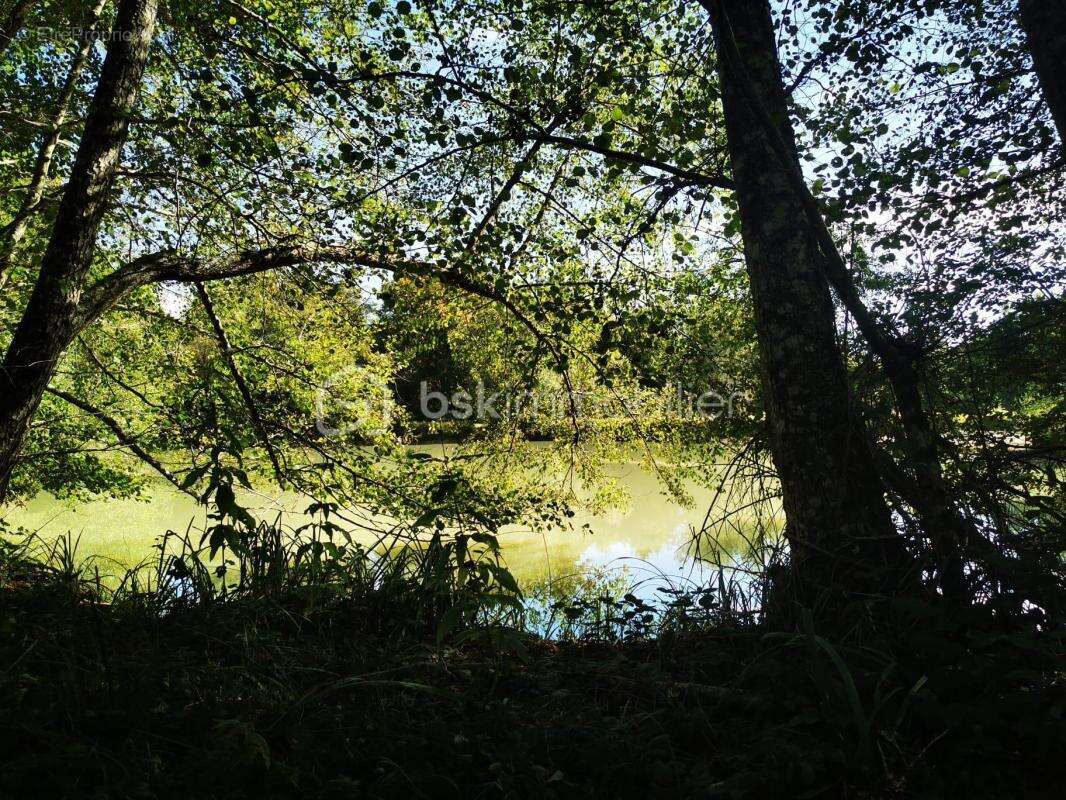 Terrain à SAINT-SAUVEUR-EN-PUISAYE