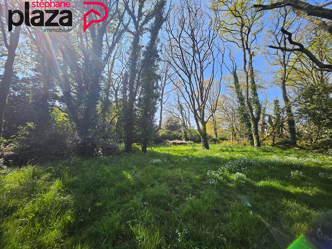 Terrain à DOUARNENEZ