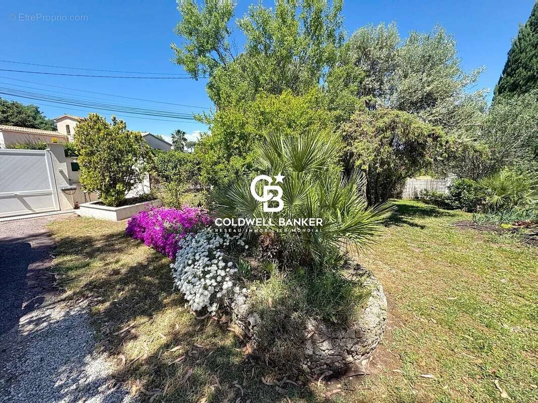 Maison à PUGET-SUR-ARGENS