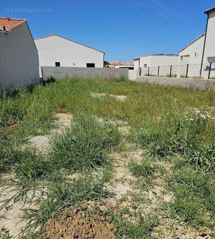 Terrain à CAZOULS-LES-BEZIERS