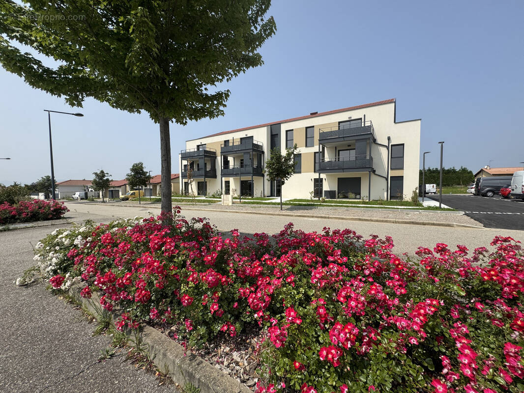 Appartement à DAVEZIEUX