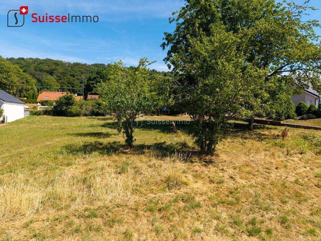 Rare à la vente : parcelle viabilisée de 24 ares sans vis-à-vis - photo 6