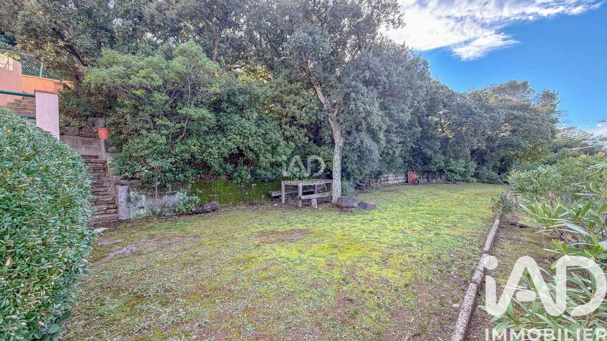 Photo 5 - Maison à SAINT-RAPHAEL