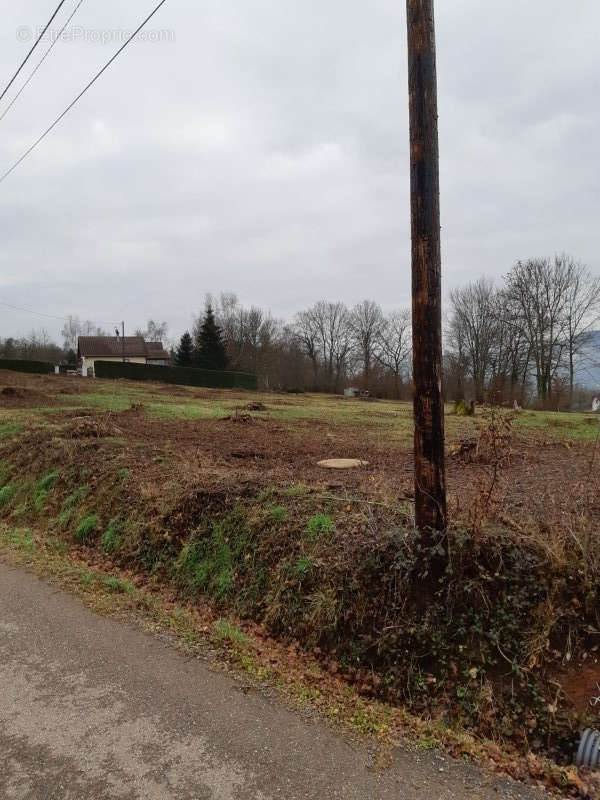 Terrain à LA VOIVRE