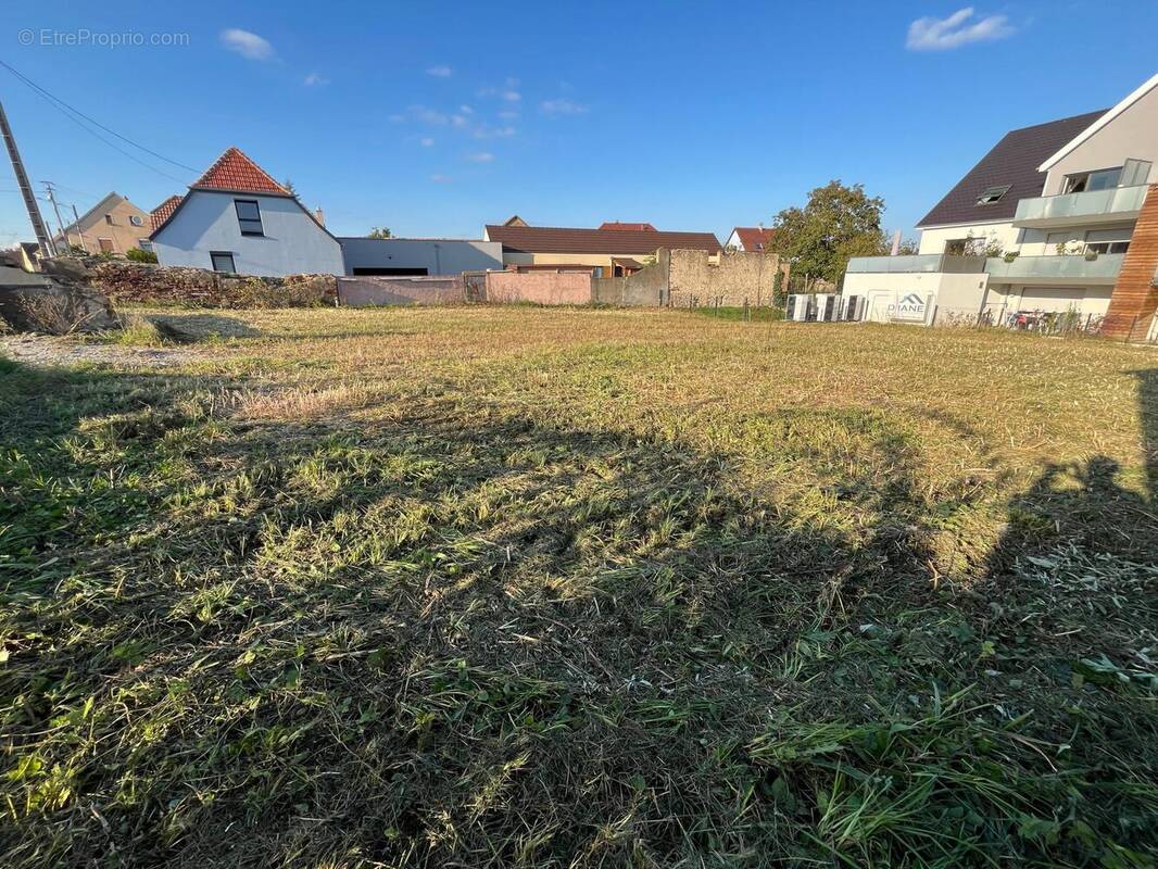 Photo 1 - Terrain à HIRTZFELDEN