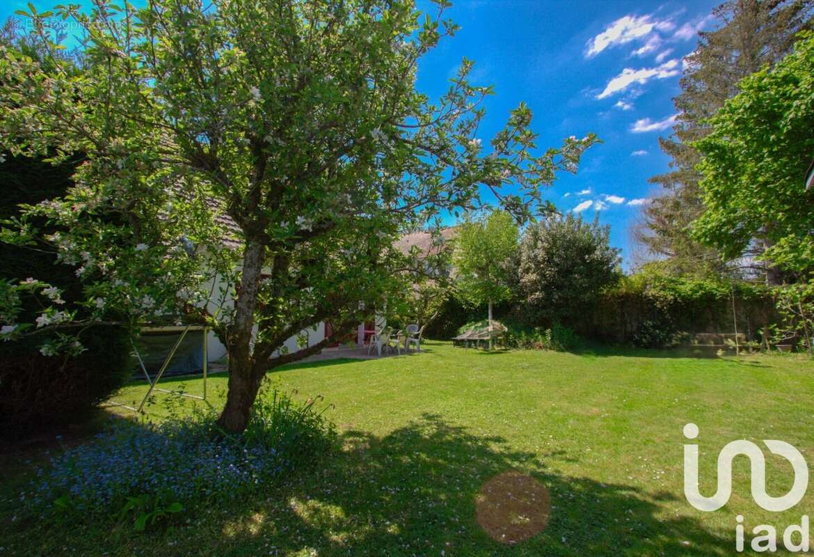 Photo 4 - Maison à RAMBOUILLET