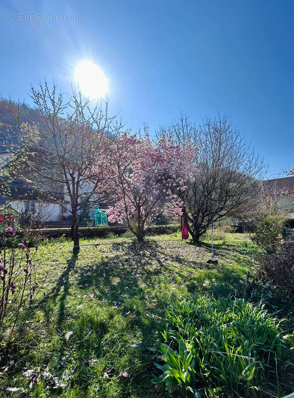 Maison à VILLARD-BONNOT