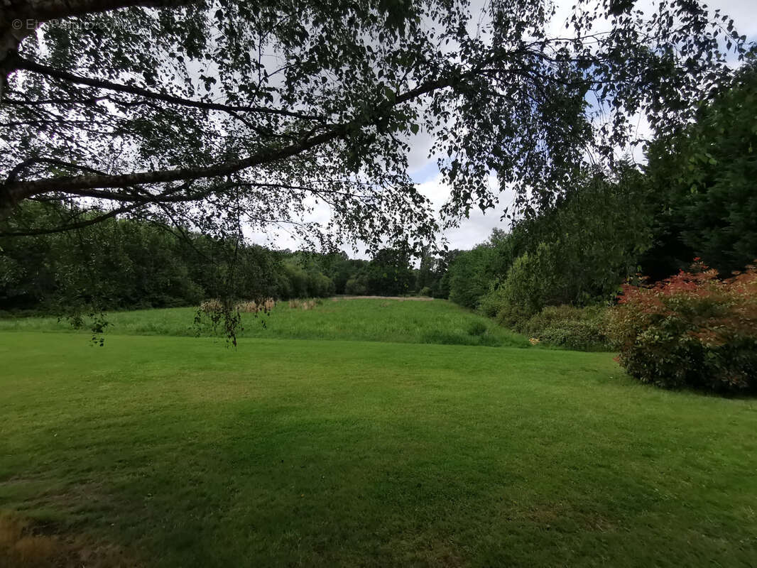 Belle propriété de 6.5ha avec deux étangs - photo 8