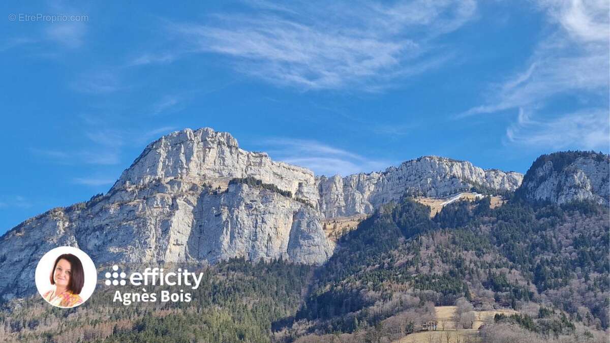 Terrain à LE PETIT-BORNAND-LES-GLIERES