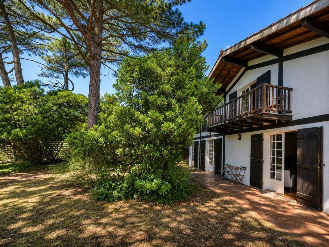 Maison à LEGE-CAP-FERRET