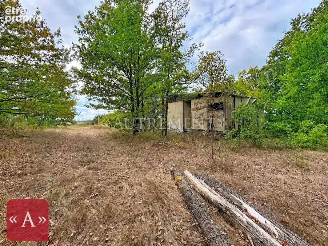 Chalet à rénover totalement - photo 1
