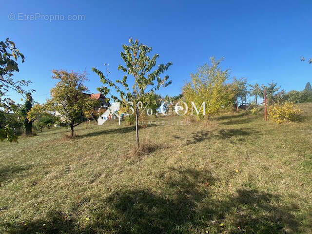 Terrain à DETTWILLER