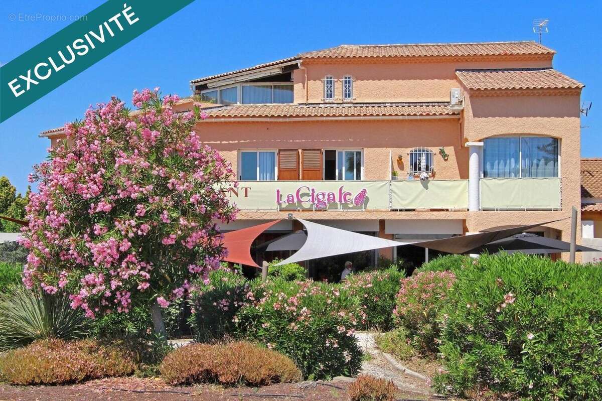 Photo 8 - Commerce à LA LONDE-LES-MAURES